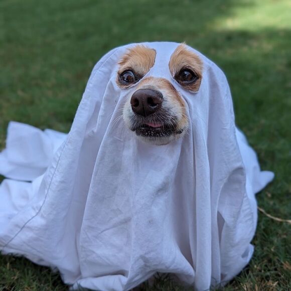 Loves sharing - Picture 11 of 16